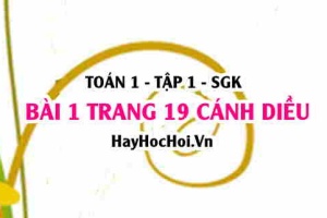 Bài 1 trang 19 Toán 12 tập 1 Cánh Diều